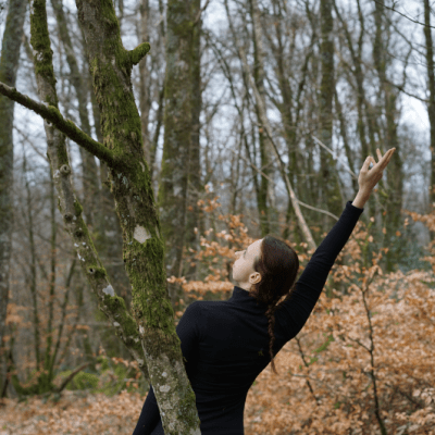 Le Rocher des&nbsp;Fées