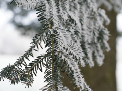 D&rsquo;ici à l&rsquo;aube