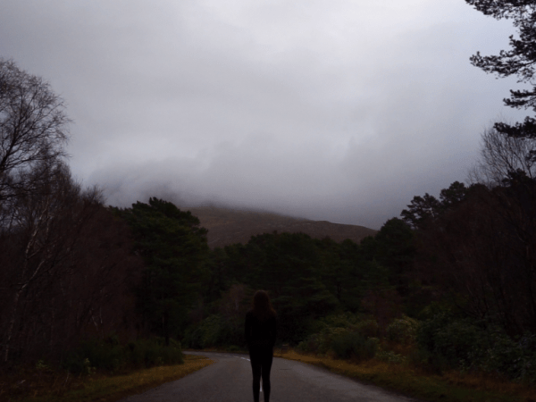 Où sont parties les racines&nbsp;?