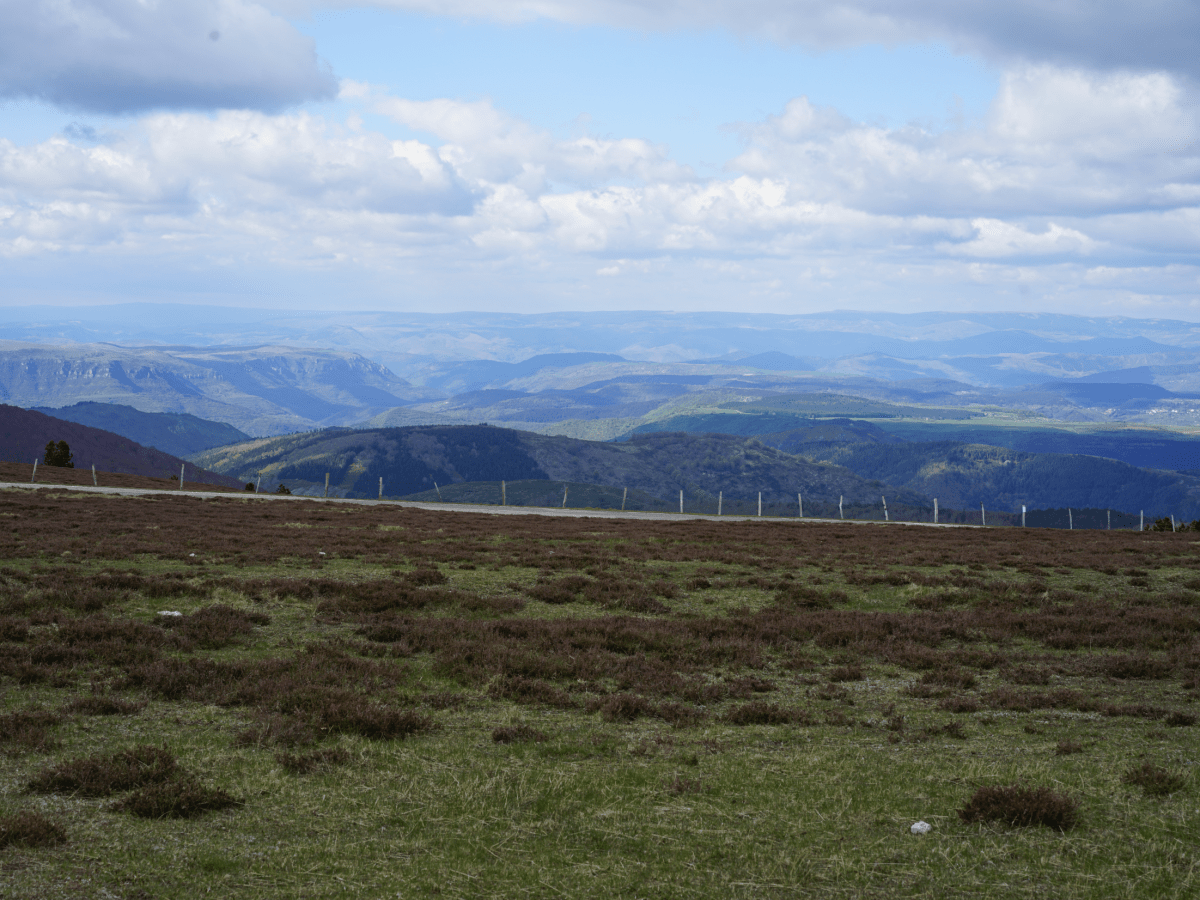 L&rsquo;écume rêve, se love et&nbsp;s&rsquo;enroule